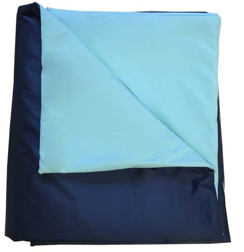 Couverture Bacterio